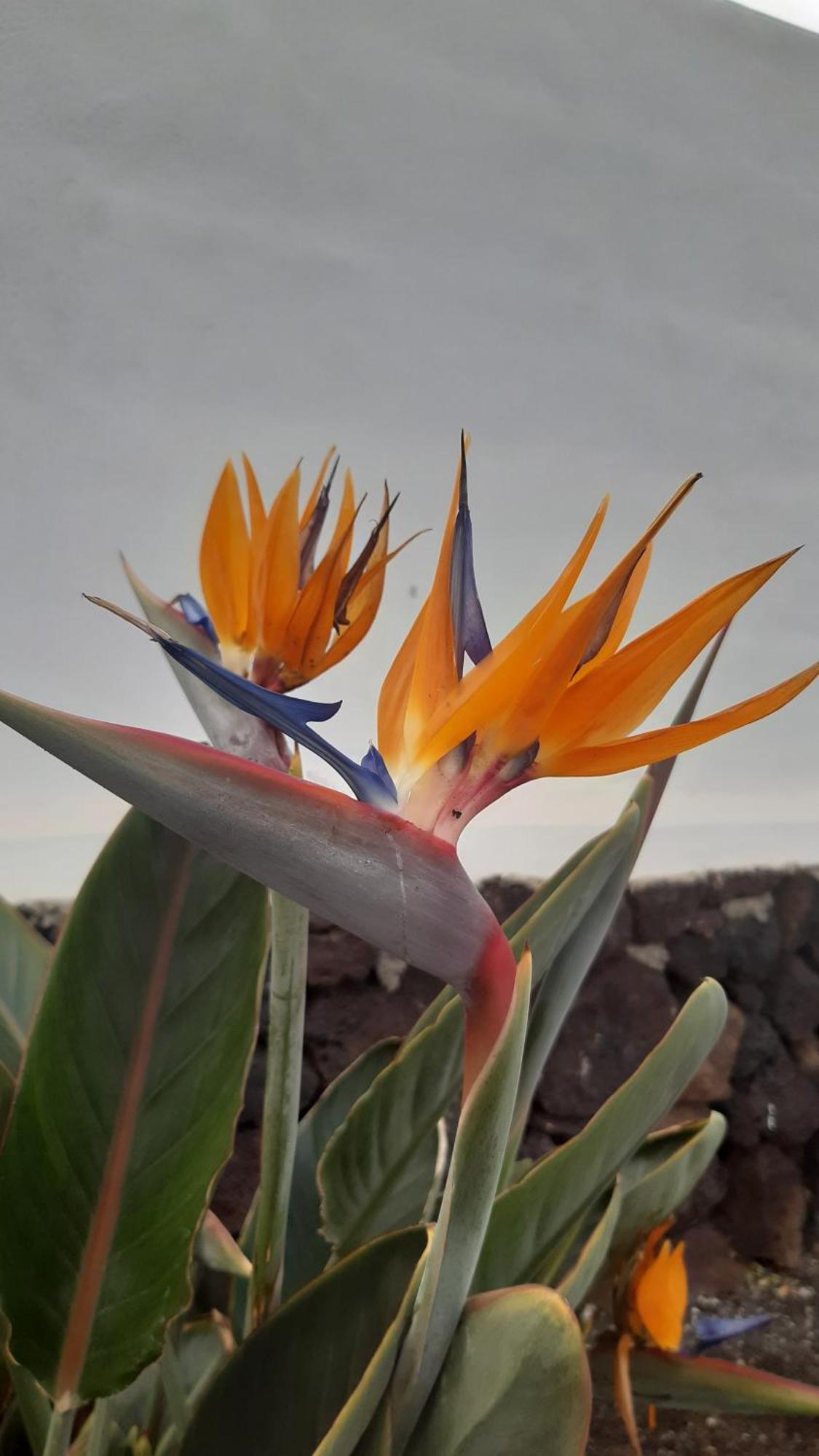 La Belle Vie Villa Famara Bagian luar foto