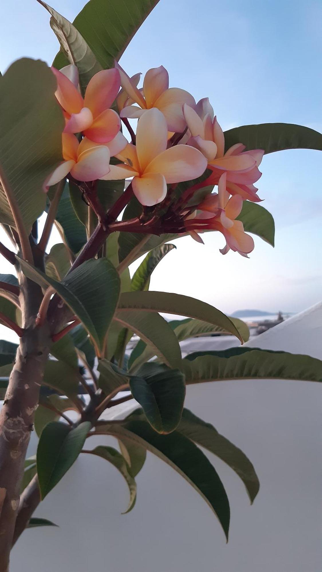 La Belle Vie Villa Famara Bagian luar foto